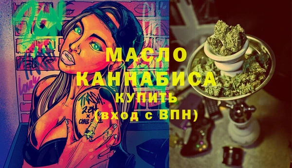 твердый Няндома