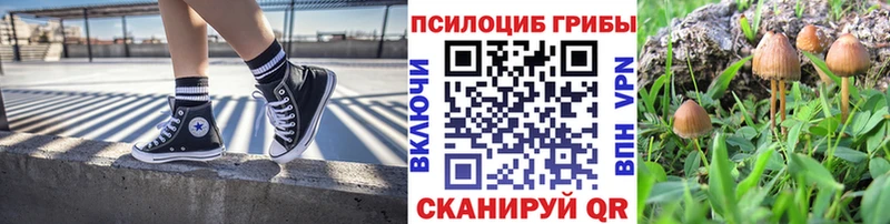Купить Туринск Галлюциногенные грибы прущие грибы